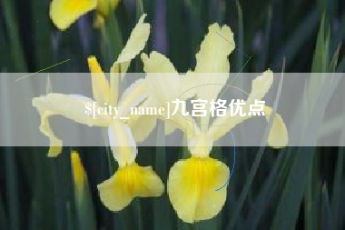 运城九宫格优点