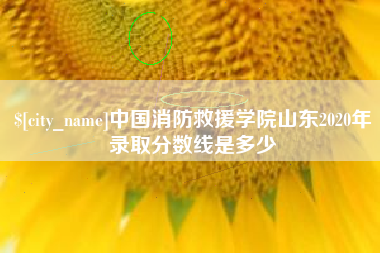 运城中国消防救援学院山东2020年录取分数线是多少