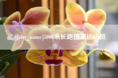 运城5000米长跑国家运动员