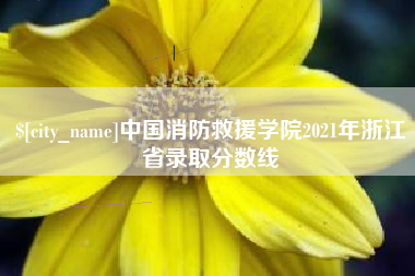 运城中国消防救援学院2021年浙江省录取分数线