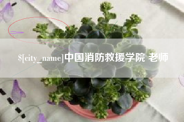 运城中国消防救援学院 老师