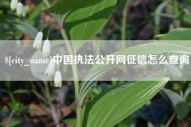 运城中国执法公开网征信怎么查询