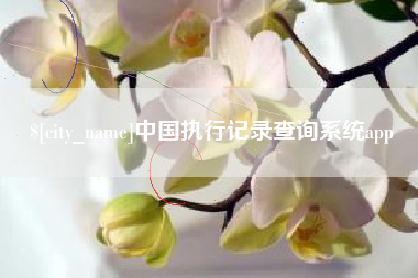 运城中国执行记录查询系统app