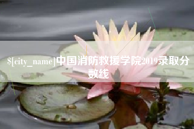 运城中国消防救援学院2019录取分数线
