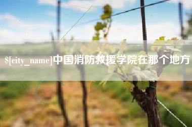 运城中国消防救援学院在那个地方