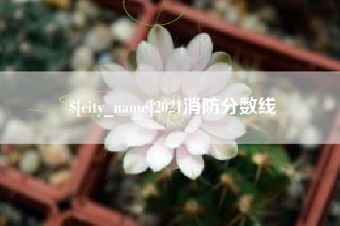 运城2021消防分数线