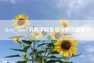 运城消防学校录取分数线是多少