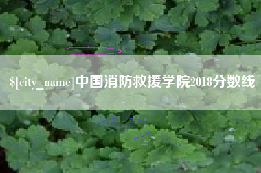 运城中国消防救援学院2018分数线