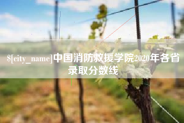 运城中国消防救援学院2020年各省录取分数线