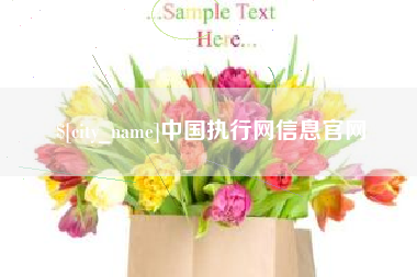 运城中国执行网信息官网
