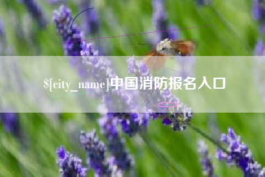 运城中国消防报名入口