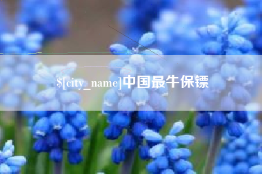 运城中国最牛保镖