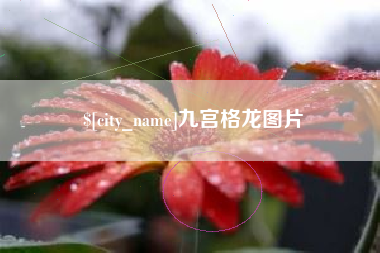 运城九宫格龙图片