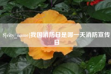 运城我国消防日是哪一天消防宣传日