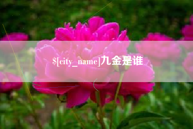 运城九金是谁
