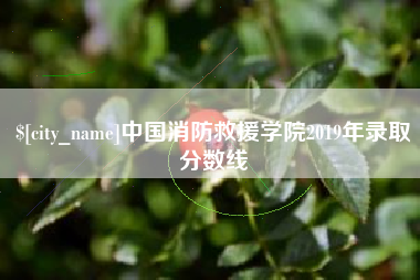 运城中国消防救援学院2019年录取分数线