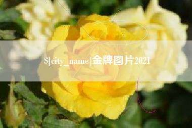 运城金牌图片2021