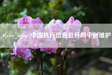 运城中国执行信息公开网平台维护