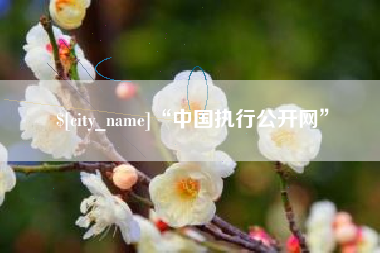 运城“中国执行公开网”
