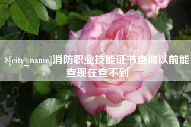 运城消防职业技能证书查询以前能查现在查不到