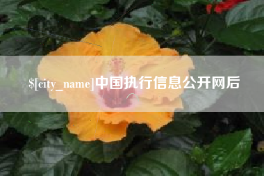 运城中国执行信息公开网后