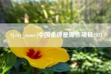 运城中国金牌是哪些项目2021