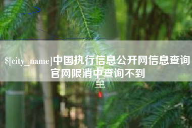 运城中国执行信息公开网信息查询官网限消中查询不到