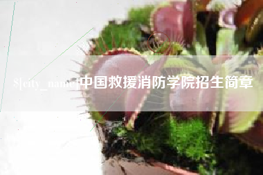 运城中国救援消防学院招生简章