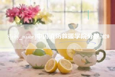 运城中国消防救援学院分数2020