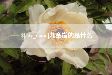 运城九金指的是什么