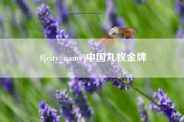 运城中国九枚金牌