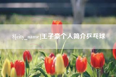 运城王子豪个人简介乒乓球