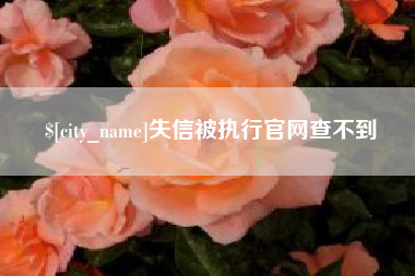 运城失信被执行官网查不到