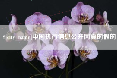 运城中国执行信息公开网真的假的