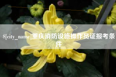 运城重庆消防设施操作员证报考条件