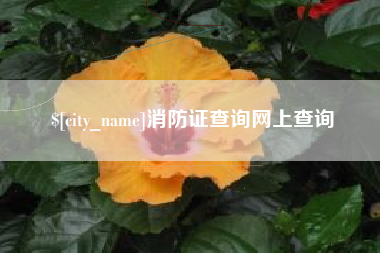 运城消防证查询网上查询