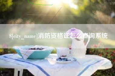 运城消防资格证怎么查询系统