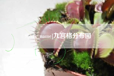 运城九宫格分布图