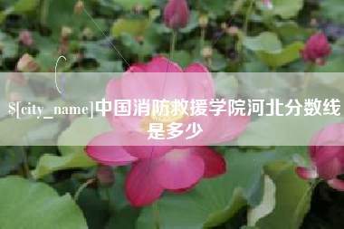 运城中国消防救援学院河北分数线是多少