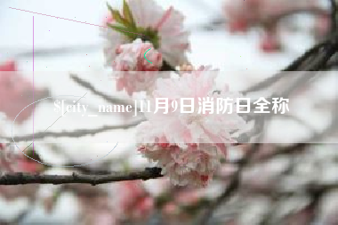 运城11月9日消防日全称