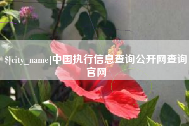 运城中国执行信息查询公开网查询官网