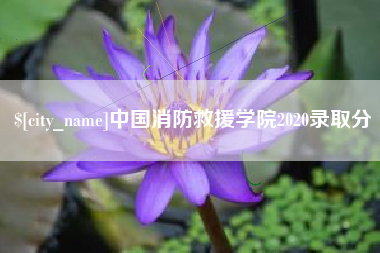 运城中国消防救援学院2020录取分