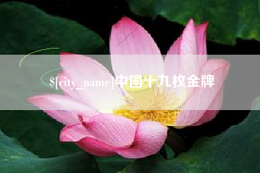 运城中国十九枚金牌