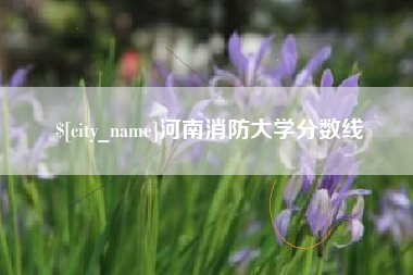 运城河南消防大学分数线