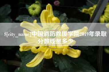 运城中国消防救援学院2019年录取分数线是多少