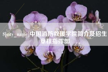 运城中国消防救援学院简介及招生章程指挥部
