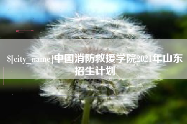 运城中国消防救援学院2021年山东招生计划