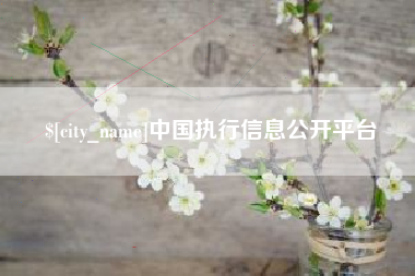 运城中国执行信息公开平台