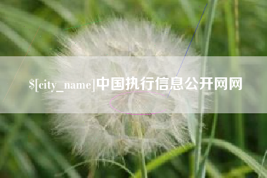 运城中国执行信息公开网网