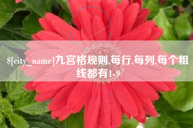 运城九宫格规则,每行,每列,每个粗线都有1-9
